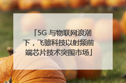 5G 与物联网浪潮下，飞骧科技以射频前端芯片技术突围市场