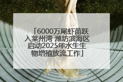6000万尾虾苗跃入莱州湾 潍坊滨海区启动2025年水生生物增殖放流工作