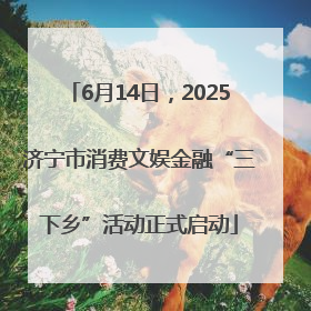 6月14日，2025济宁市消费文娱金融“三下乡”活动正式启动