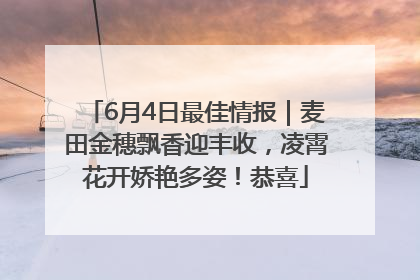 6月4日最佳情报｜麦田金穗飘香迎丰收，凌霄花开娇艳多姿！恭喜
