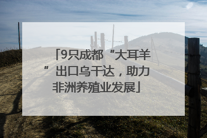 9只成都“大耳羊”出口乌干达，助力非洲养殖业发展