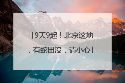 9天9起！北京这地，有蛇出没，请小心
