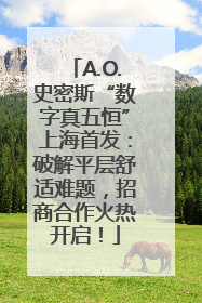 A.O.史密斯“数字真五恒”上海首发：破解平层舒适难题，招商合作火热开启！