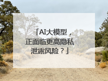 AI大模型，正面临更高隐私泄露风险？