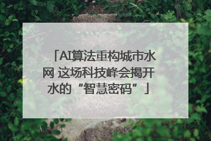 AI算法重构城市水网 这场科技峰会揭开水的“智慧密码”