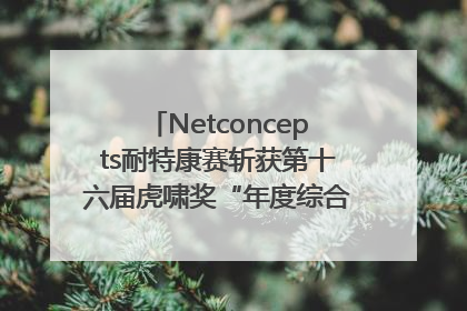 Netconcepts耐特康赛斩获第十六届虎啸奖“年度综合服务商”大奖